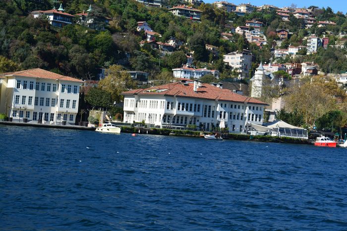 Bohemund came demanding their acclamations