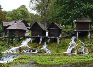 The Stone Mole Along the Shore